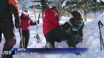 Avalanche dog rescue training in France attracts world skiers