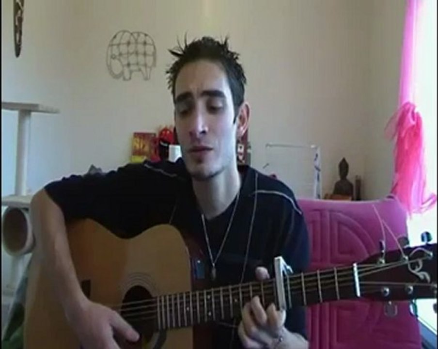 Les Hurlements de Léo - VRP Cover