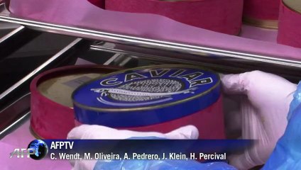 Caviar do Alpes Suíços