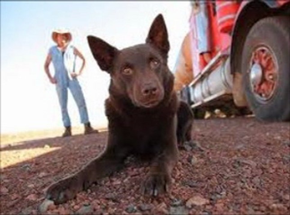 Red Dog (2011) online watch www.megamov24.com