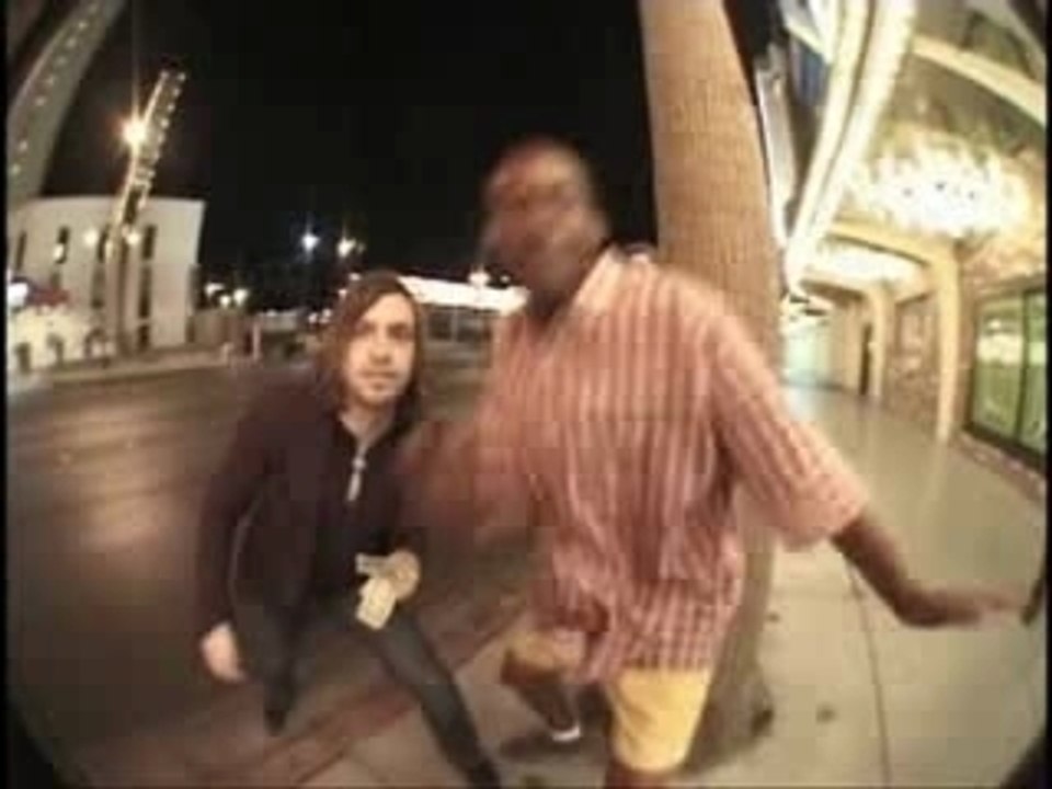 part' de ragdoll dans la black label