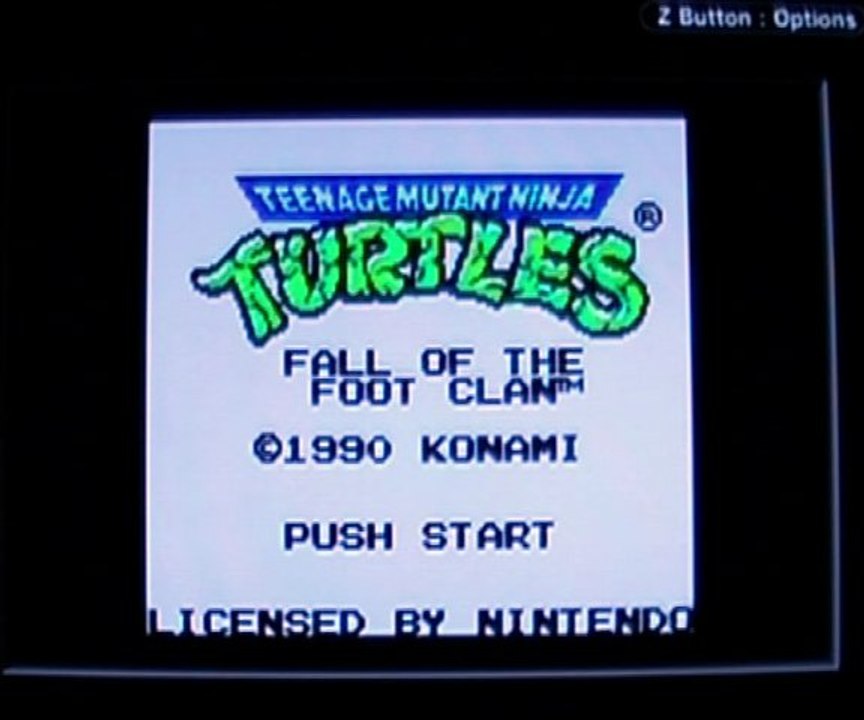 First Level - Test - Teenage Mutant Ninja Turtles : Fall of the Foot Clan - Gameboy