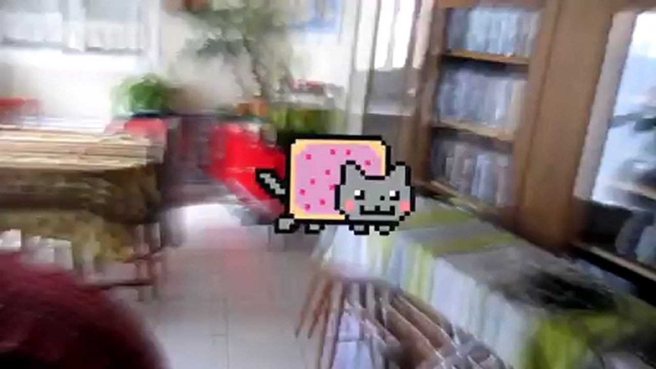 Nyan Cat Origins [ Original Nyan Cat ]