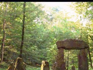 Celto-Ligures de Patrick Cousin de Haes