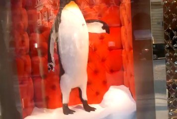 Les vitrines de Louis Vitton- Paris, place Vendôme