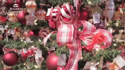 The Basics of Decorating a Christmas Tree with Chad