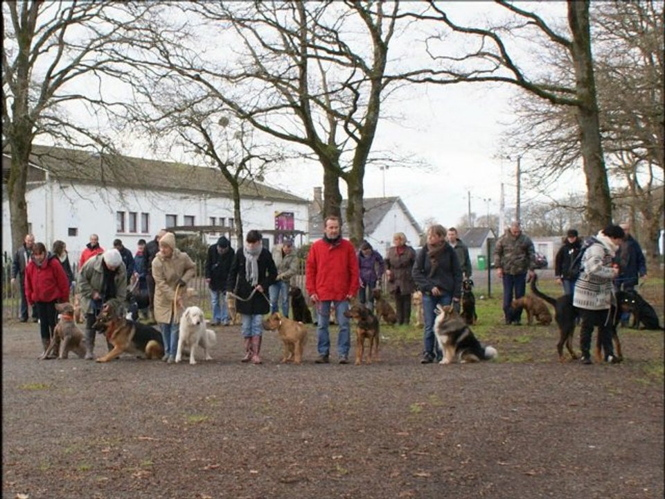 Téléthon 2012