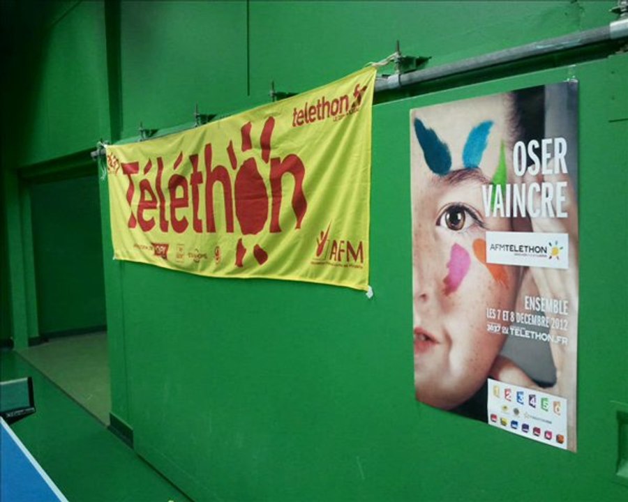 Telethon2012