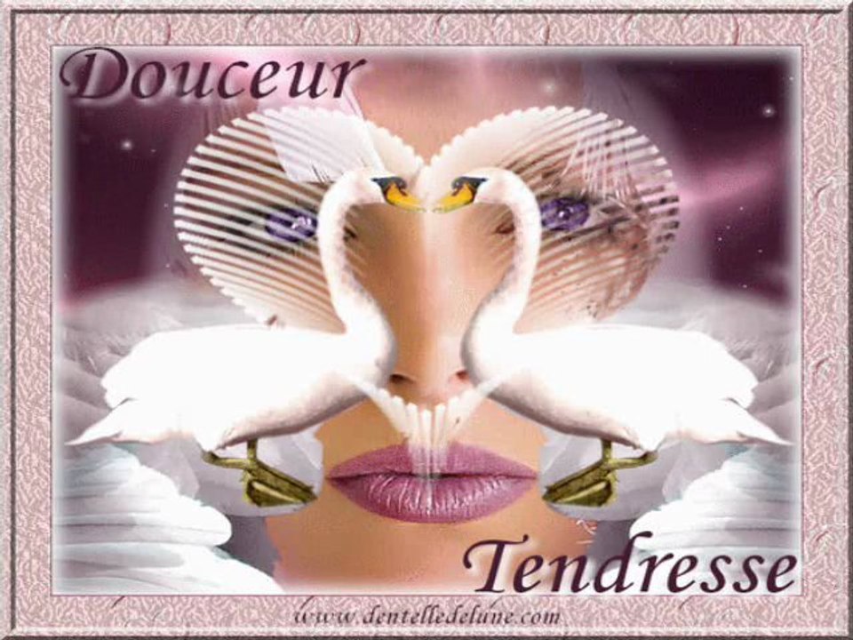 J'veux d'la tendresse. Vidéo Dailymotion