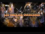 Les abeilles guerrières