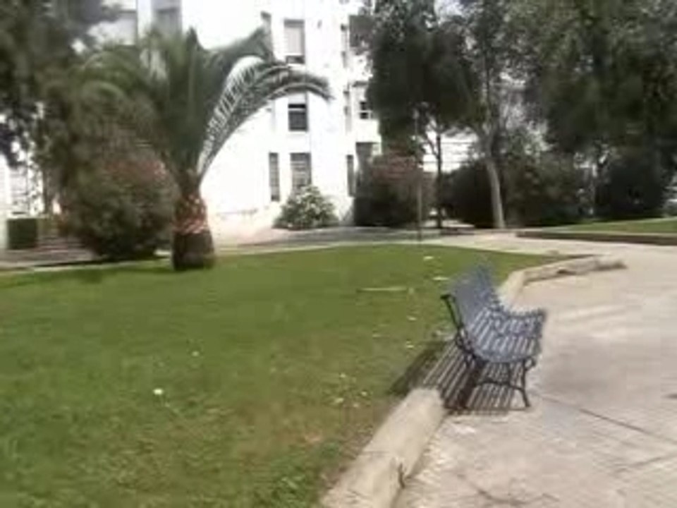 the dessing street