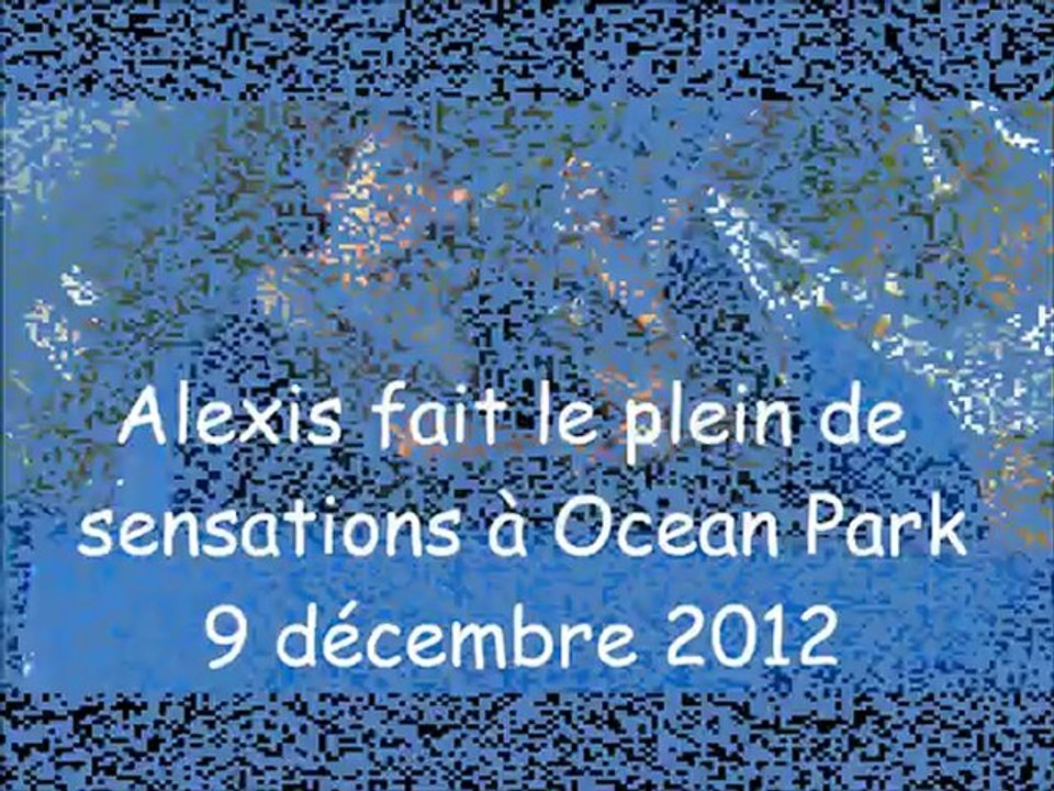alexis_oceanpark