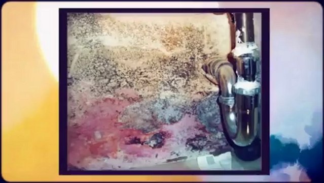 Atlanta Home Inspector Shows Home Inspection Horrors