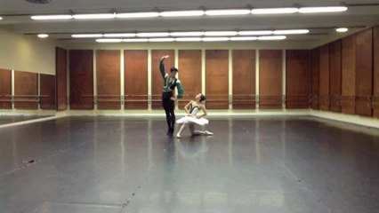 Ent Pt Don Quichotte