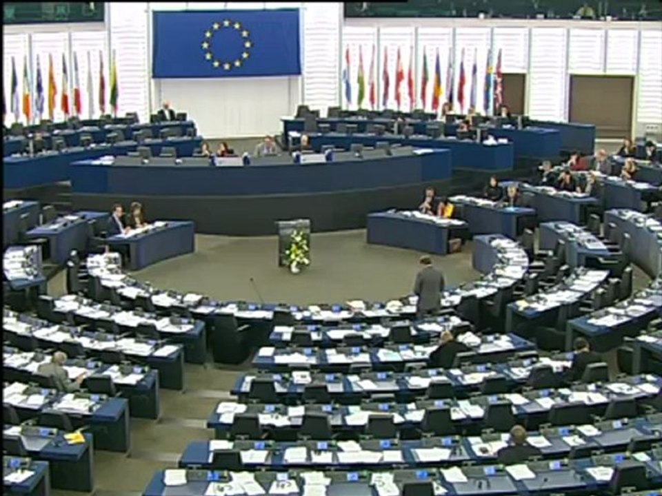 @Lambsdorff_live on #EU #humanrights strategy & #democracy