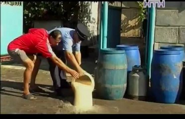 1995-й год