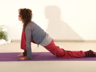 Yoga Vidya Anfängerkurs Woche 5 Teil 1