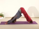 Yoga Vidya Anfängerkurs Woche 5 Teil 2