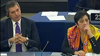 @epdonskis [R] on #EU #humanrights strategy & #democracy