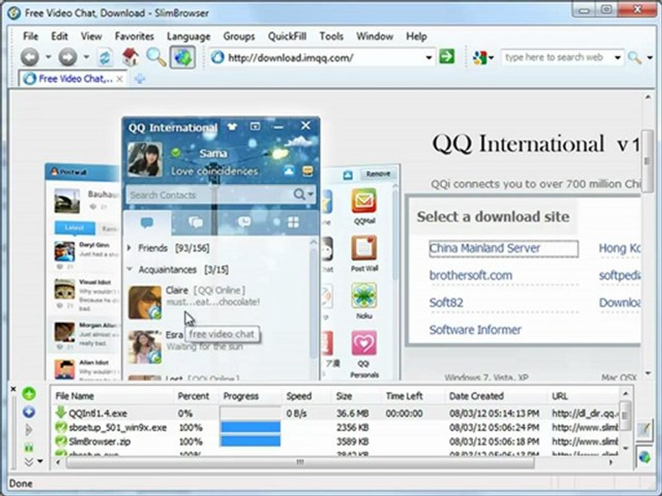 SlimBrowser Download Manager