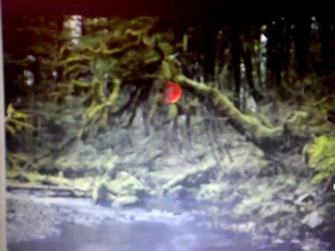 SỬA TỦ LẠNH TOSHIBA TẠI NGUYỄN TRÃI 0983440201 SỬA TỦ LẠNH TOSHIBA TẠI NGUYỄN TRÃI 0983440201