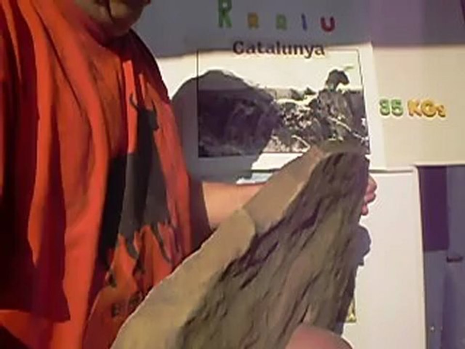 CABEZA DE UN DOLMEN PREHISTORICO