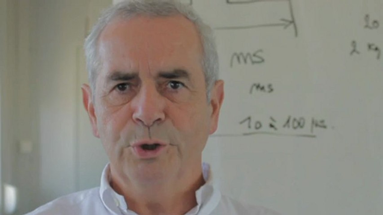 Les chemins vertueux de la croissance en LR : Muller-Fuega (Festival 2011)