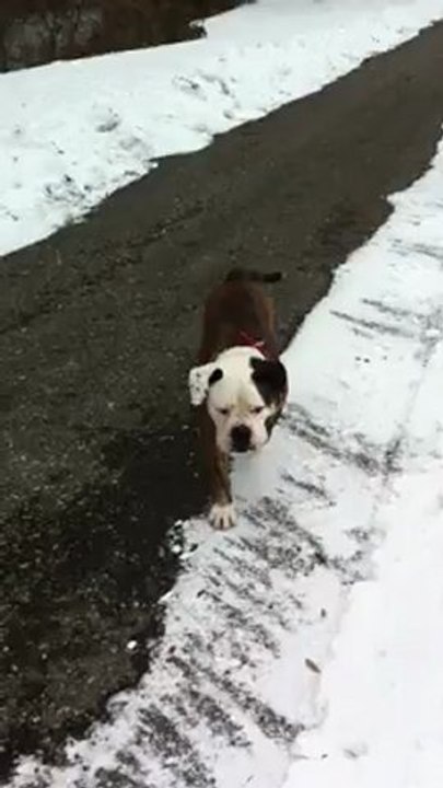 Kaya 2