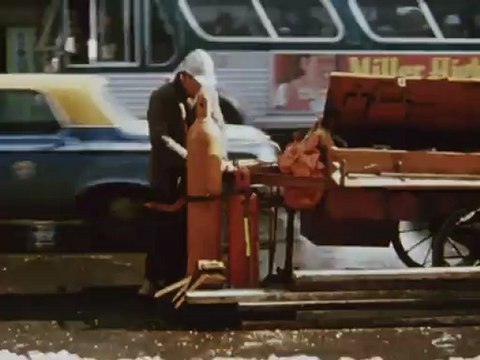 Jonas Mekas : Walden