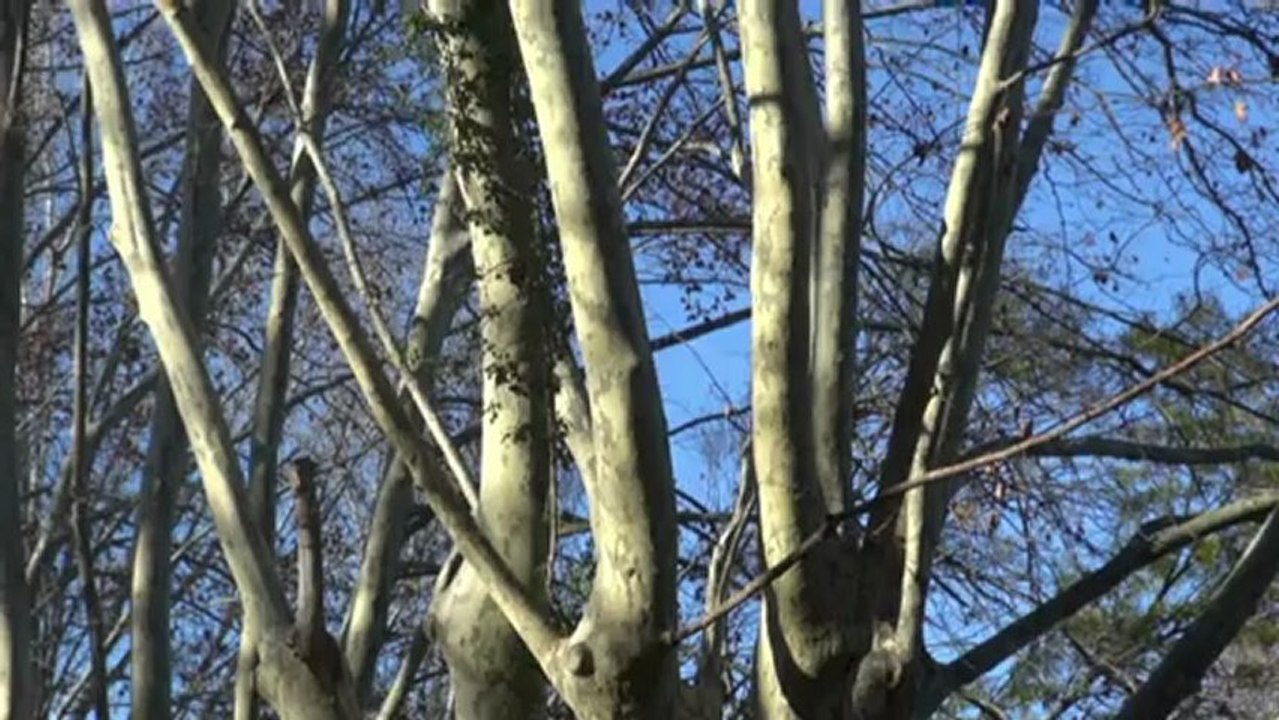 eau régie publique.mp4