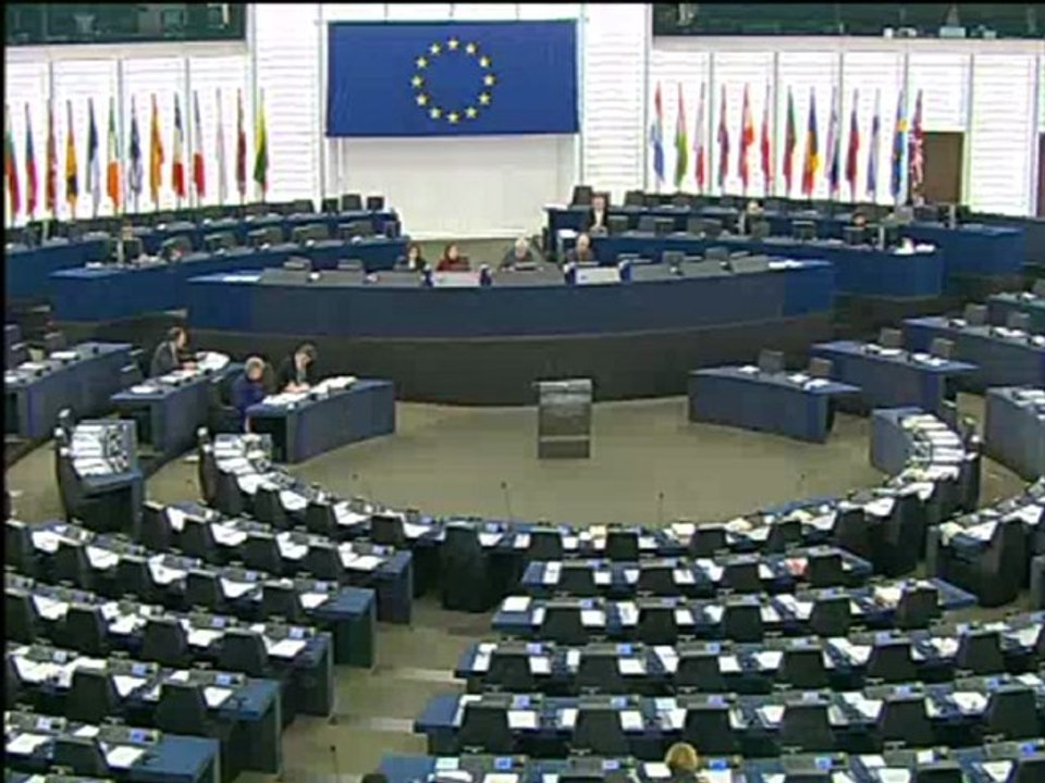 Ivo Vajgl on EU Agency for Fundamental Rights