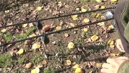 Winter Carp Fishing Expert Tactics Video