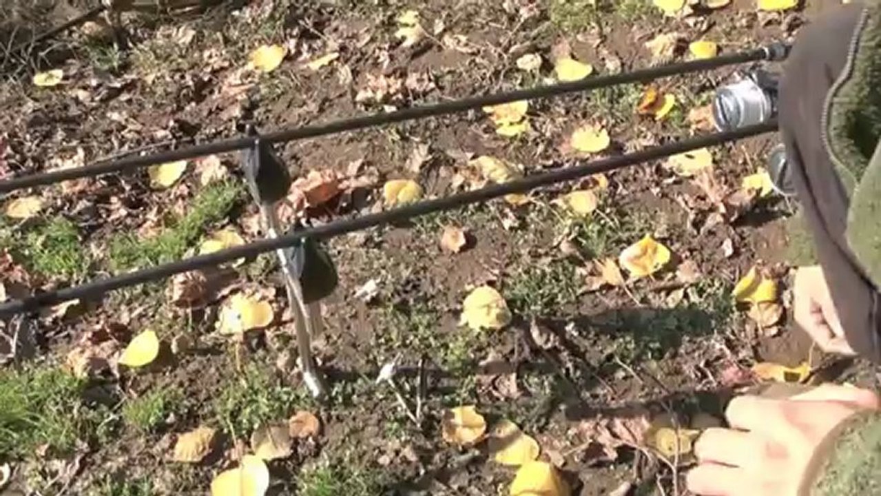 Winter Carp Fishing Expert Tactics Video