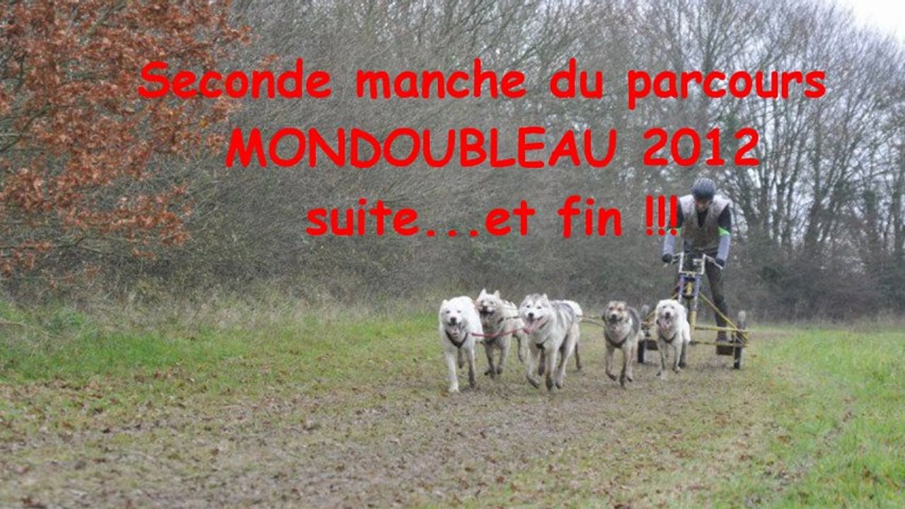 mondoubleau P2 B1 bis