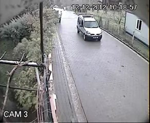 Kartepe Belediyesi Küpeli Hayvanları Topluyor