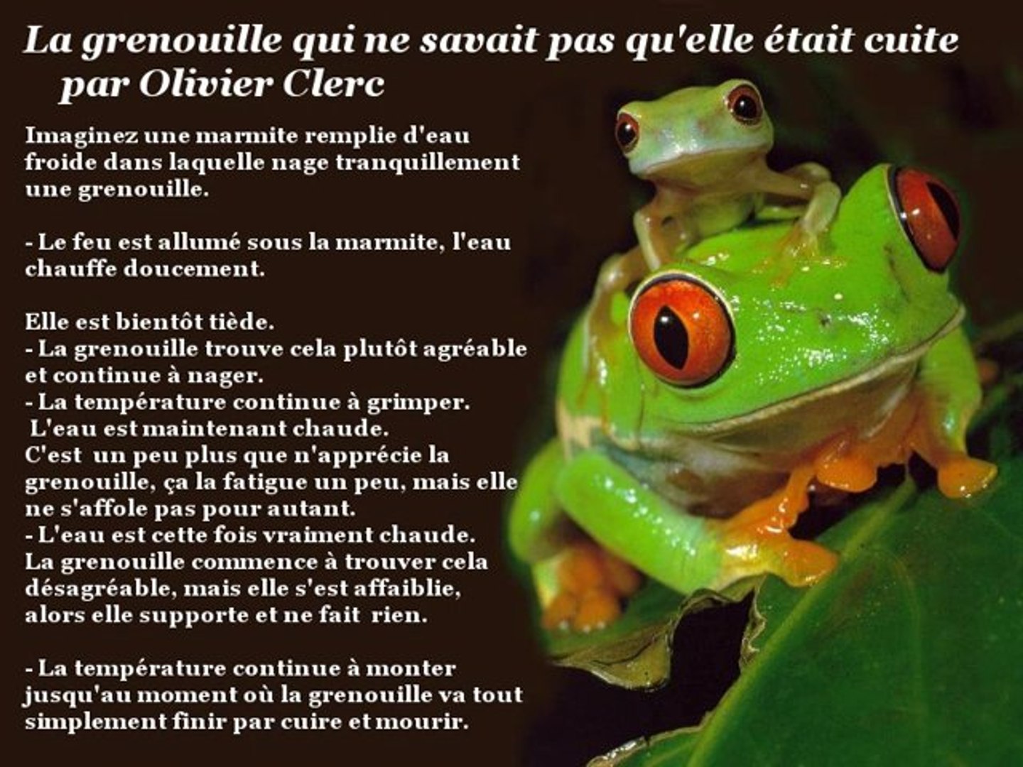 Histoire De La Grenouille Dans La Marmite Aperçu Historique