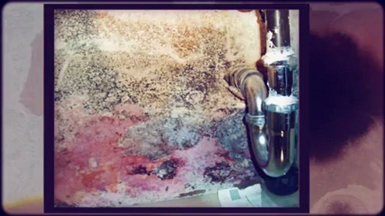 Executive Home Inspections - Horrors