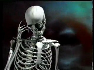 Envejecimiento: Hipotesis del fallo mitotico