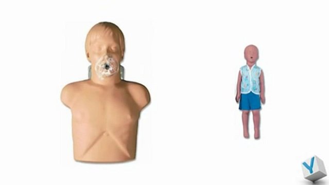 Ylea.eu : Divers mannequins de secourisme pas chers!