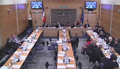 Com Lois 12 déc 2012 Veille Européenne