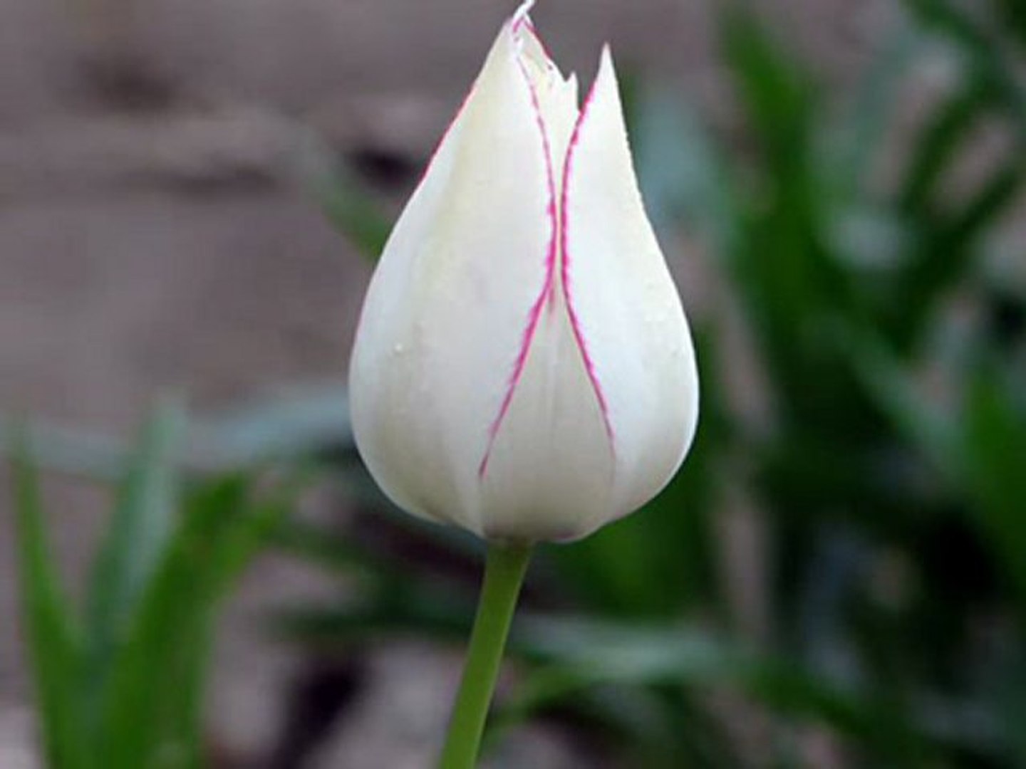 ⁣Кара Кольо - Лайф микс