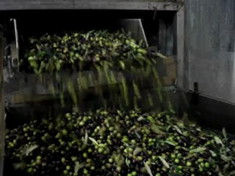 Olio Extra Vergine 2013 prodotto e confezionato in frantoio