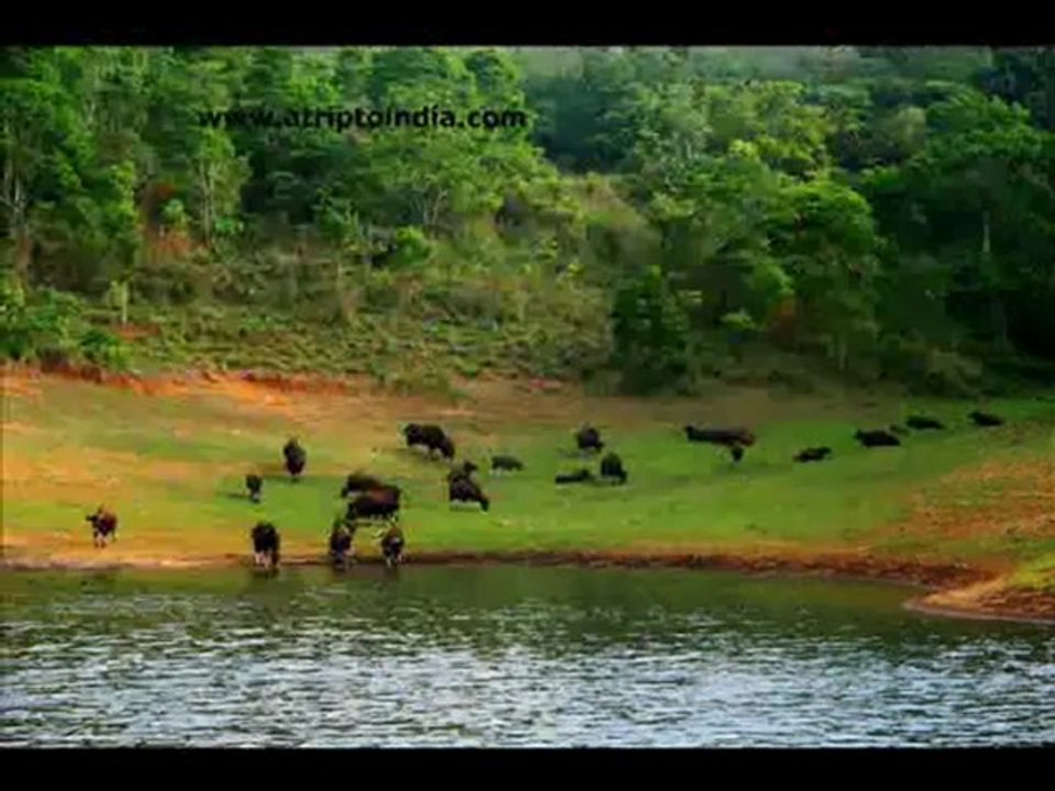 South India Tours