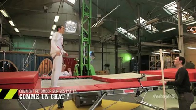 EM26 Comment retomber sur ses pattes, comme un chat ?