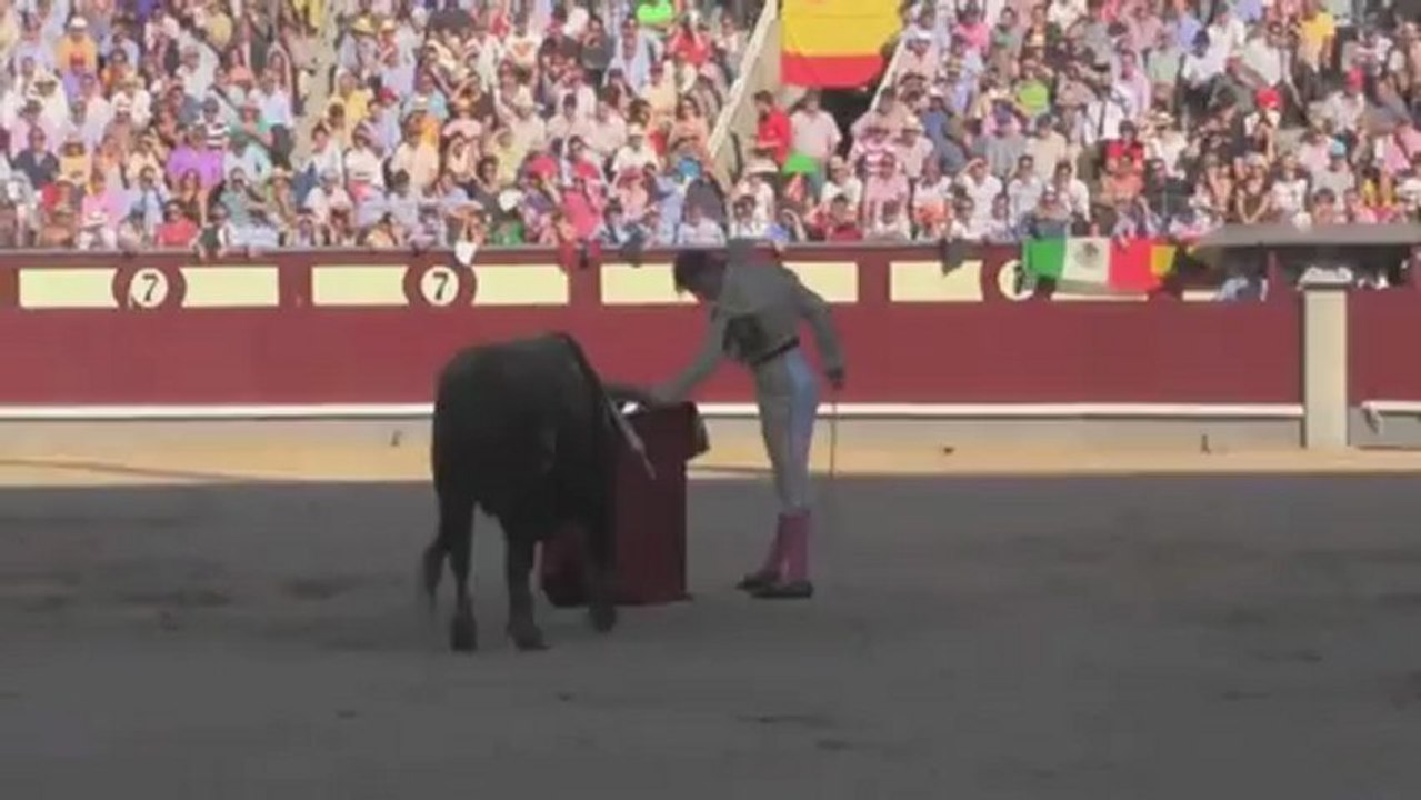 SILVETI 2012