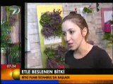 KANAL 7 SABAH HABERLERİ FLOWER SHOW