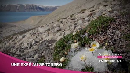 Une Expé Au Spitzberg - Bande Annonce