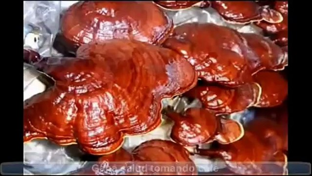 Gano Excel el primer cafe saludable.