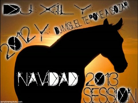 FLAMENCO SALSERO SESSION NAVIDAD 2012-2013 MIXXX DJ XILY Y DJ MIGUEL TE PONE A GOZAR