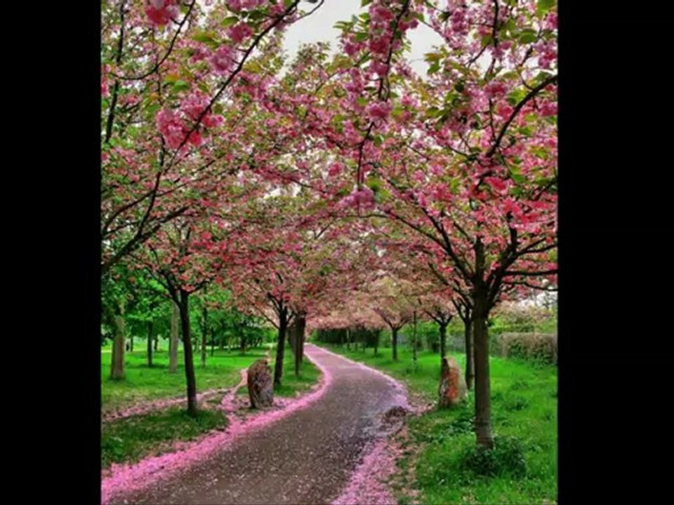 YUSUF  KABAAGAC ABi  VE VEFAT EDEN ABiLERiMiZ ANISINA